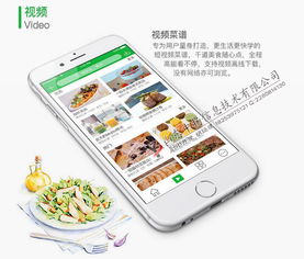 菜譜大全App開發(fā) 大廚唾手可得，移動(dòng)互聯(lián)技術(shù)賦能美食生活