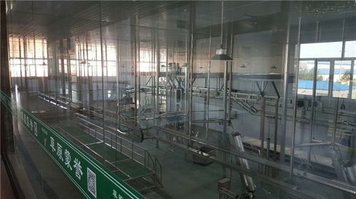 年屠宰10萬只不費勁！這家肉羊屠宰設備廠家直供方案，成本直降30%