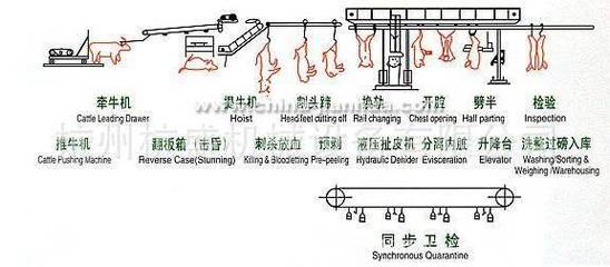 模塊化移動屠宰車 引領屠宰設備新變革